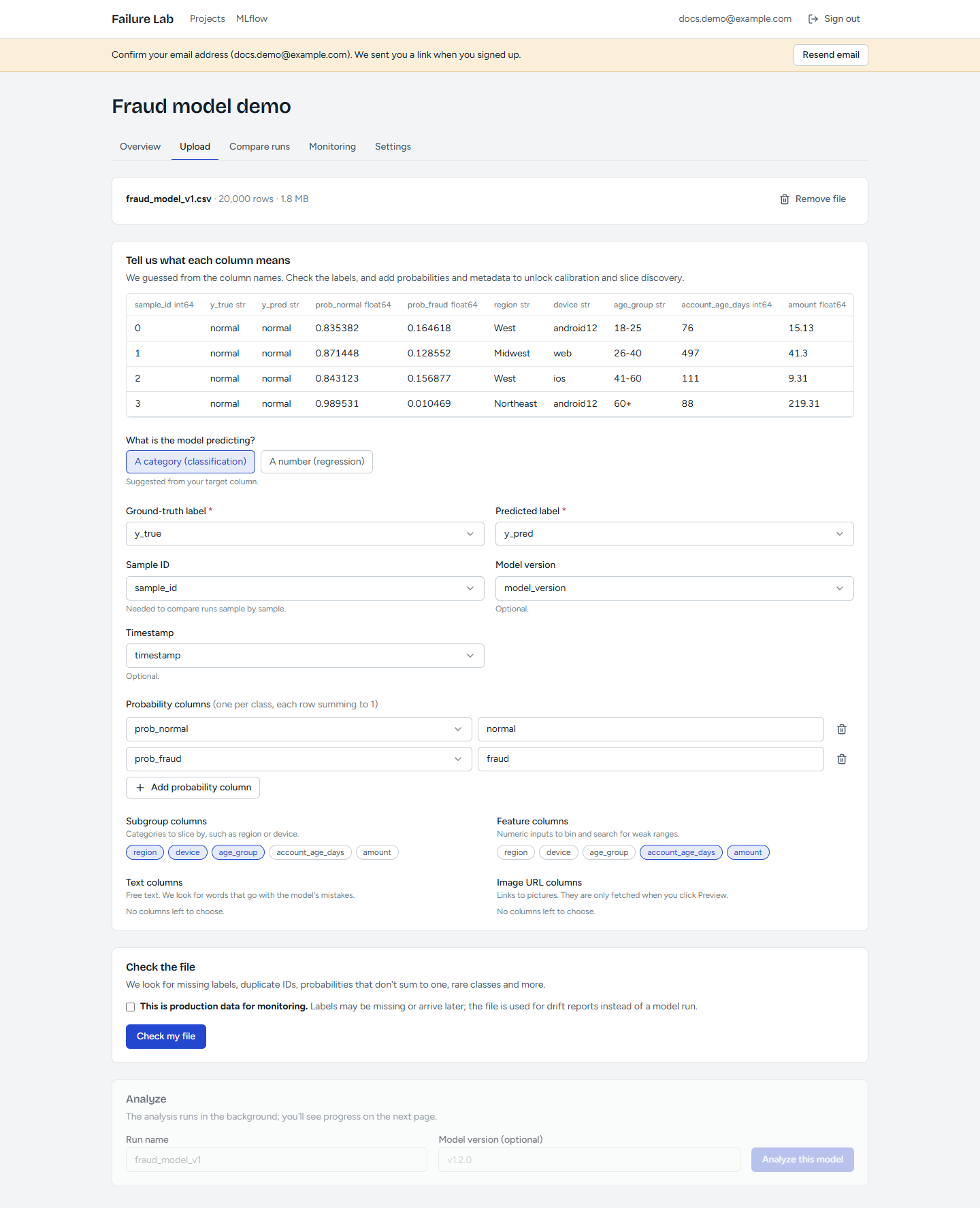 Choosing the demo reads the file (20,000 rows) and guesses what each column means: true label, predicted label, probabilities and metadata for slice discovery.